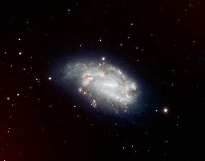NGC1559.gif